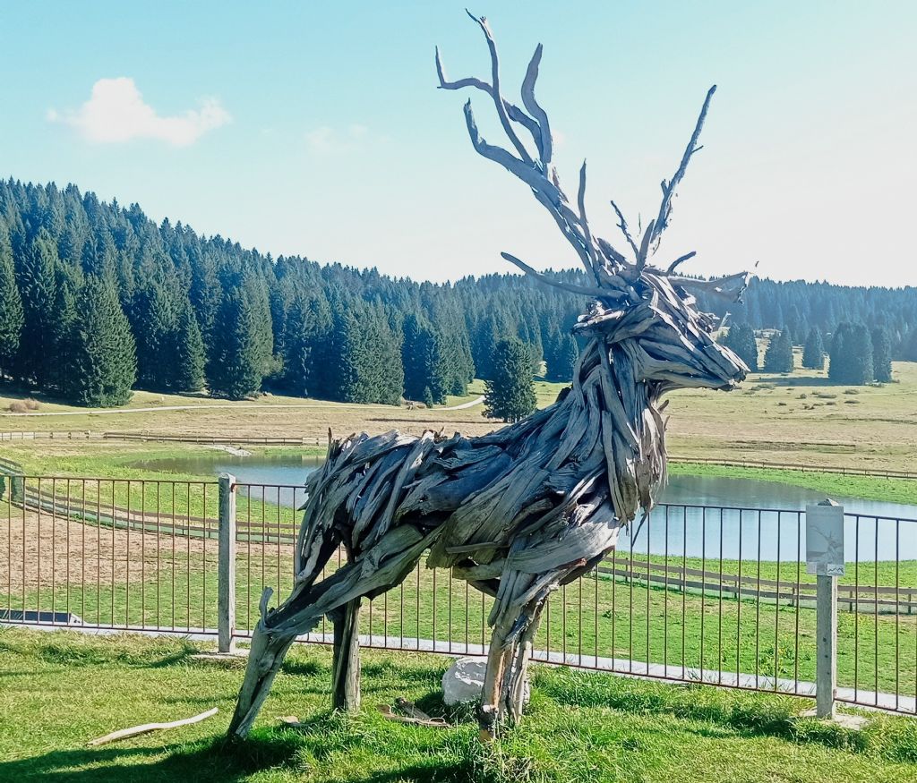 Tutte le sculture di Marco Martalar.....in Trentino